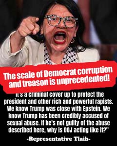 Dem_corrupt_Tlaib