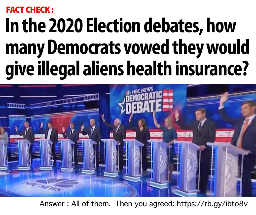 healthcare_for_illegals