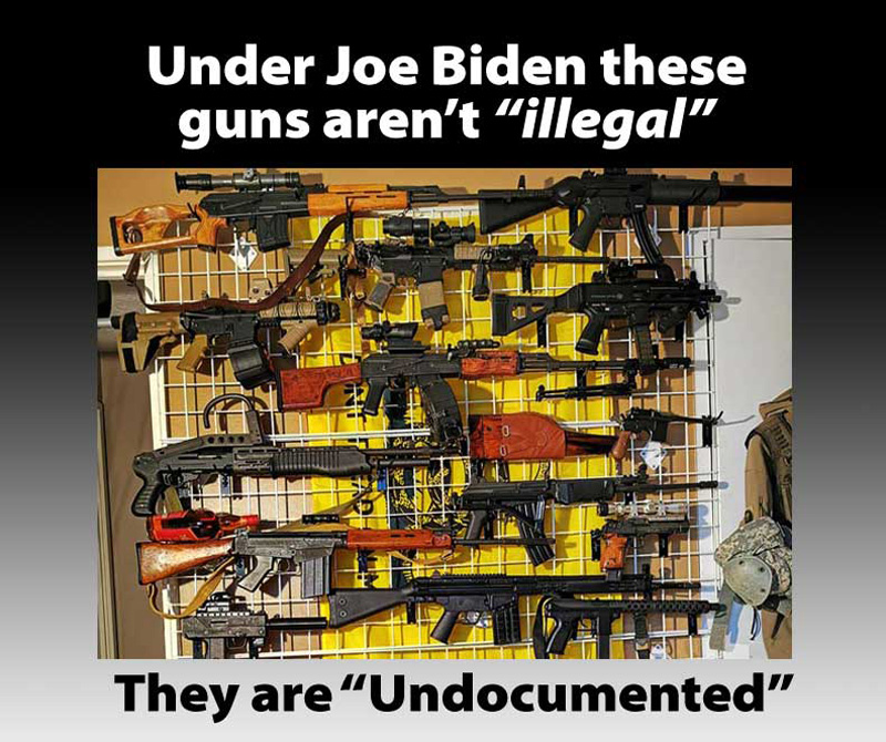 undocumented_guns
