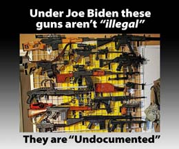 undocumented_guns